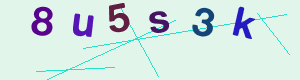 captcha img