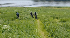 MTB helling Gelderse Hout MTB helling Gelderse Hout